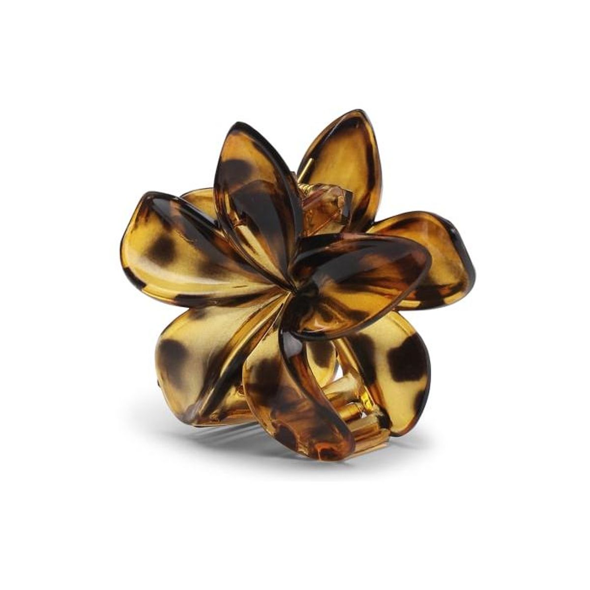 SUI AVA Plumeria Clarity Big Folden Brown